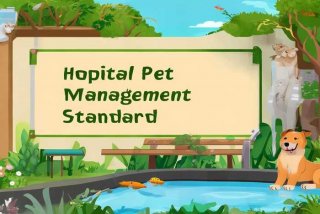 医院宠物管理规范（医院宠物管理规范标准）