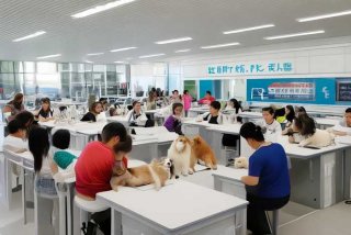 济南宠物美容师培训学校 - 济南宠物美容师培训学校地址槐荫区