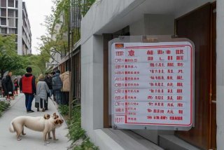 青岛小区禁养犬名单；青岛小区禁养犬名单最新