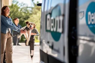 宠物空运到机场可以送上门吗；机场空运宠物可以送货上门