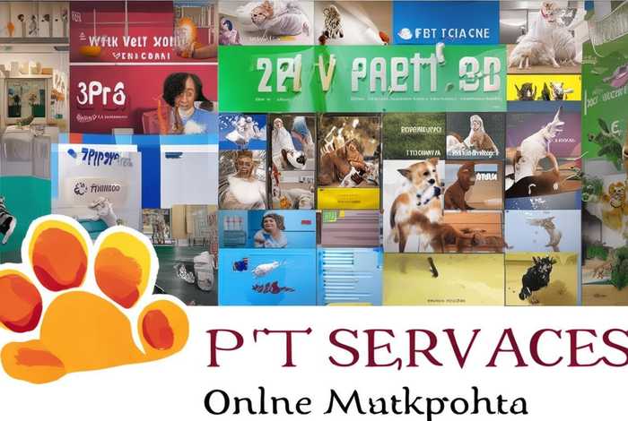 宠物服务网站 - 宠物服务网站大全