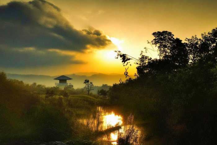 青岛禁养宠物小区后续、青岛禁养宠物小区后续管理