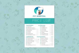 宠物医院收费价目表设计 宠物医院收费价目表设计图