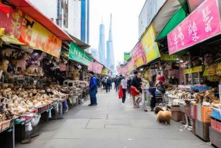 上海宠物市场在什么地方 - 上海宠物市场在什么地方进货