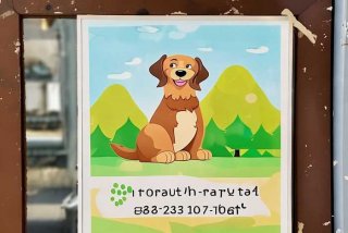 附近宠物电话，附近宠物医院电话号码是多少？