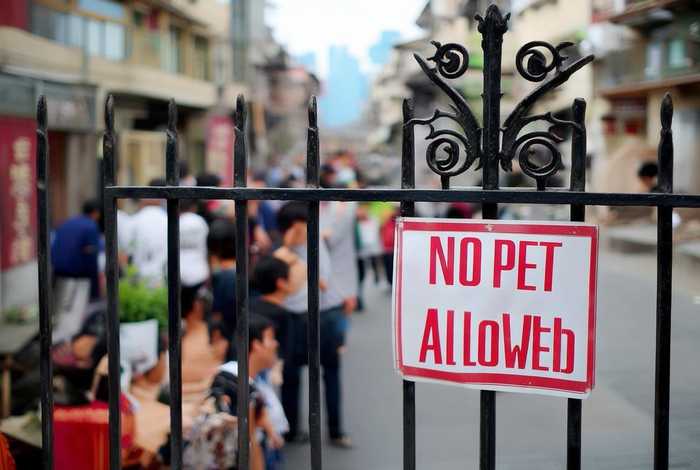 知乎 青岛一小区全面禁养宠物；青岛一小区全面禁养宠物 视频