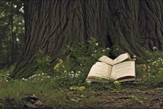 不会处理人际关系，不会处理人际关系怎么办？