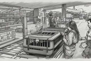 飞机托运宠物流程 飞机托运宠物流程怎么办理