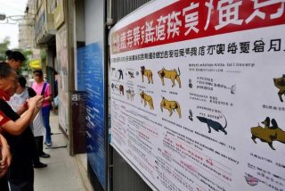 青岛禁养宠物最新规定；青岛禁养宠物最新规定通知