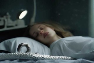 女孩网购银环蛇当宠物被咬后身亡，女孩网购银环蛇被咬导致脑死亡