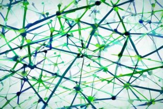 人际关系网，人际关系网英语