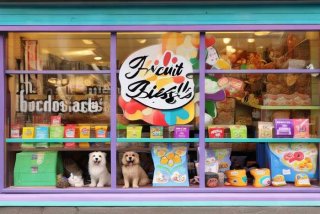 宠物零食品牌 - 宠物零食品牌设计名字