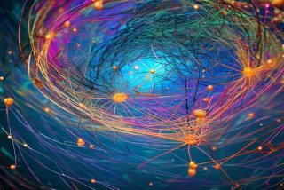 人际关系网络分析 人际关系网络分析报告