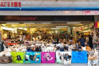 深圳宠物市场在哪里，深圳宠物市场在哪里几点关门