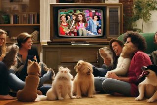 宠物老友记第一季、宠物老友记第一季全集免费观看