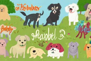 宠物狗的名字取名大全（宠物狗的名字取名大全集）