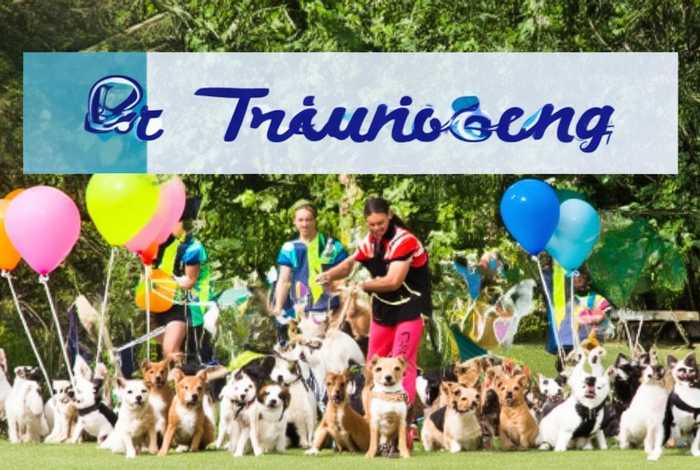 宠物培训班招生简章、宠物培训班招生简章范文 宠物培训班招生简章、宠物培训班招生简章范文