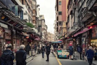 石家庄宠物市场约克夏狗（石家庄宠物市场约克夏狗价格）