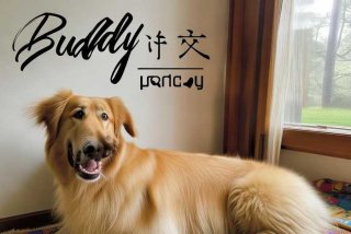 宠物狗的名字叫什么，宠物狗的名字叫什么英文