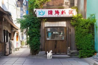 南宁宠物医院在哪里 南宁宠物医院在哪里啊