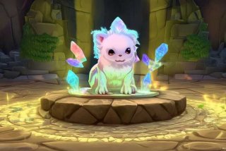 问道宠物进化副宠需要满成长吗、问道手游宝宝进化副宠需要满成长吗