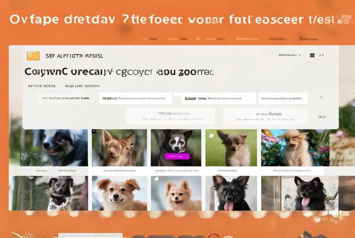 宠物领养网站的设计与实现，宠物领养网站的设计与实现英文