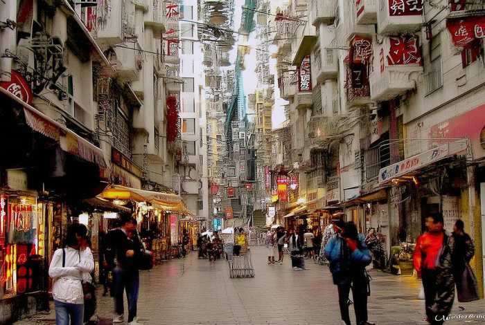 石家庄宠物市场猫咪、石家庄宠物市场猫咪价格