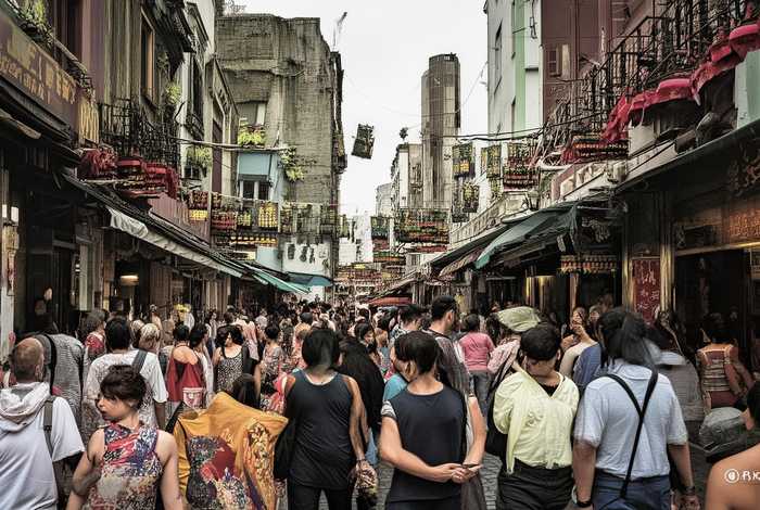 石家庄宠物市场直播，石家庄宠物市场直播视频