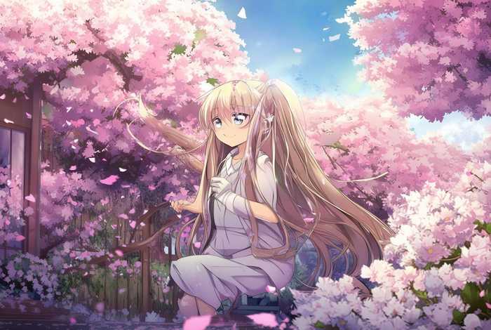 樱花庄的宠物女孩第一季在线观看 樱花庄的宠物女孩第一季在线观看免费