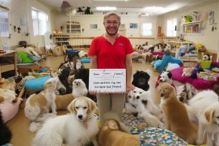 宠物救助站是免费救助吗，宠物救助站是免费救助吗还可以领回来吗