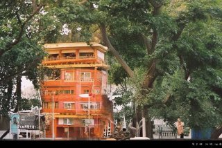 旅行青蛙怎么解绑 旅行青蛙怎么切换账号