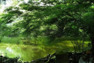 云南国际旅行社口碑怎么样（云南国际旅行社怎么样？）