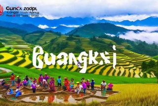 广西旅行社官网，广西中旅旅行社官网