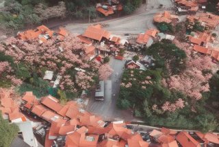 妻子的浪漫旅行第五季百度云、妻子的浪漫旅行第五季百度云资源