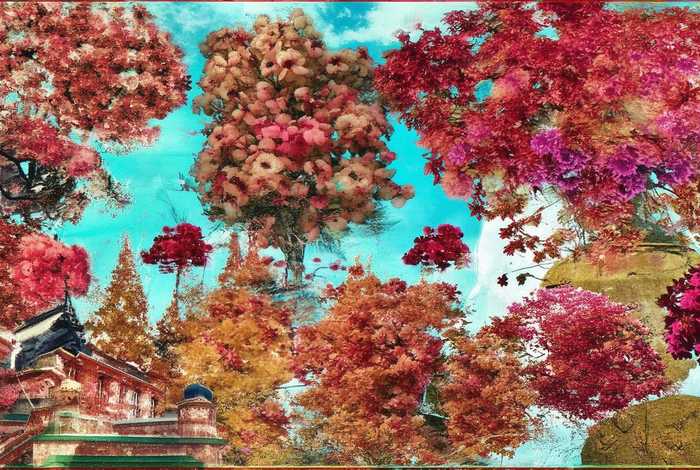 大连旅行社图片 大连旅行社图片大全