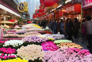 北京青年旅行社股份有限公司花市 - 北京青年旅行社股份有限公司花市营业部