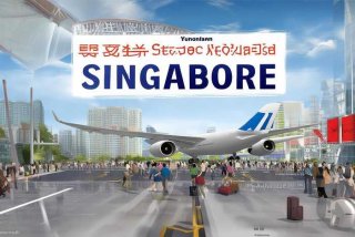 云南国际旅行社飞新加坡；云南国际旅行社飞新加坡要多久