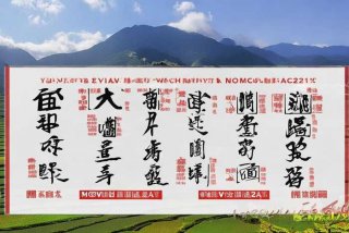 云南旅行社红黑榜，云南旅行社红黑榜2024年11月