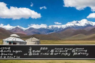 西藏旅行社黑榜（西藏旅行社排行榜）