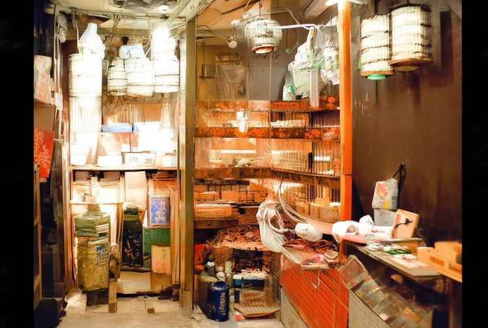 天堂旅行团内容概括，天堂旅行团内容概括50字