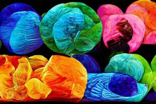 江西旅行社一览表、江西旅行社电话号码