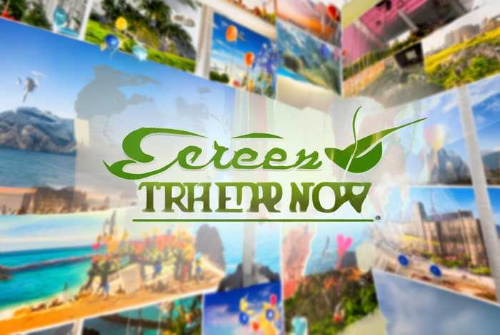 青旅旅行社官网入口（青旅旅行社官网入口网址）