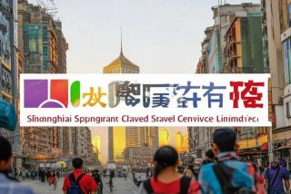 上海春秋旅行社有限公司（上海春秋旅行社有限公司官网）