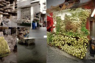 温泉旅行动漫电影（温泉旅行动漫电影免费观看）