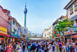 广州旅行社官方网站（广州旅行社官方网站查询）