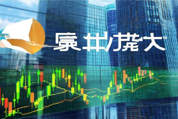 飞扬旅行社股票（飞扬旅行社股票代码）