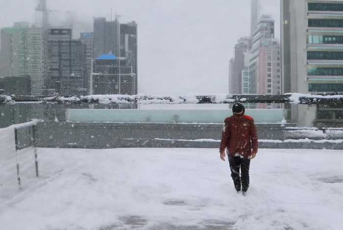 尼尔斯骑鹅旅行记梗概500字作文，尼尔斯骑鹅旅行记梗概500字作文结尾