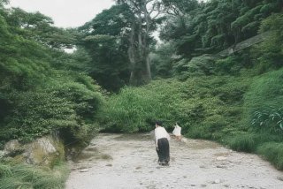 云南旅行大概多少钱 - 云南旅行大概多少钱一天