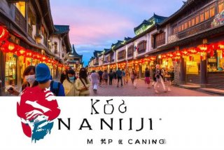 南京魅力旅程国际旅行社有限公司（南京魅力旅程国际旅行社有限公司是国企吗）