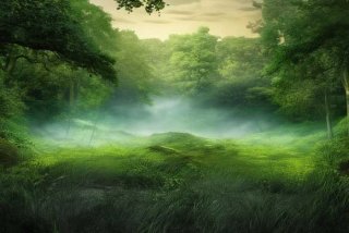 沂蒙红色研学旅行作文，沂蒙红色旅游研学报告